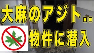 【不動産投資】大麻のアジト店舗付き物件がヤバイ..