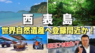 【速報】 沖縄県西表島が、明日5月10日にも世界自然遺産登録へ勧告か！